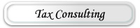 TAX CONSULTING
